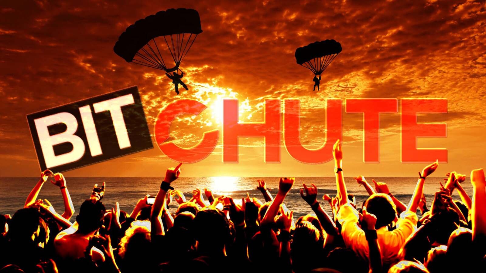 Bitchute video platform.