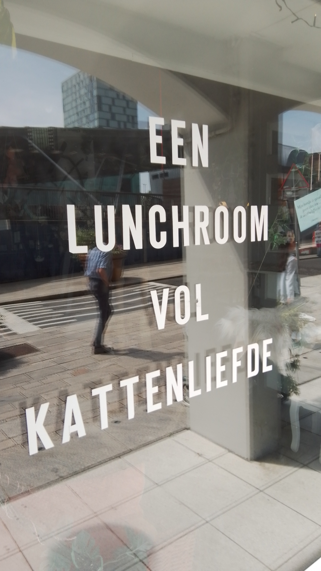 Een lunchroom vol kattenliefde