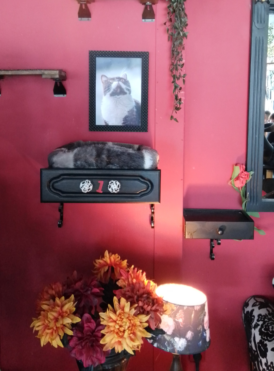 Impressie Coffee Cat