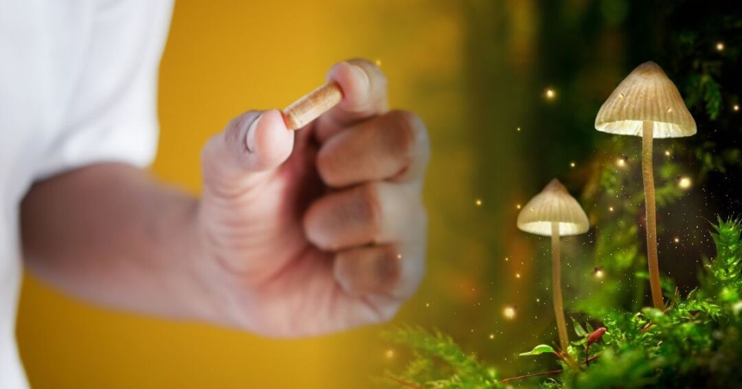 Microdosing socials