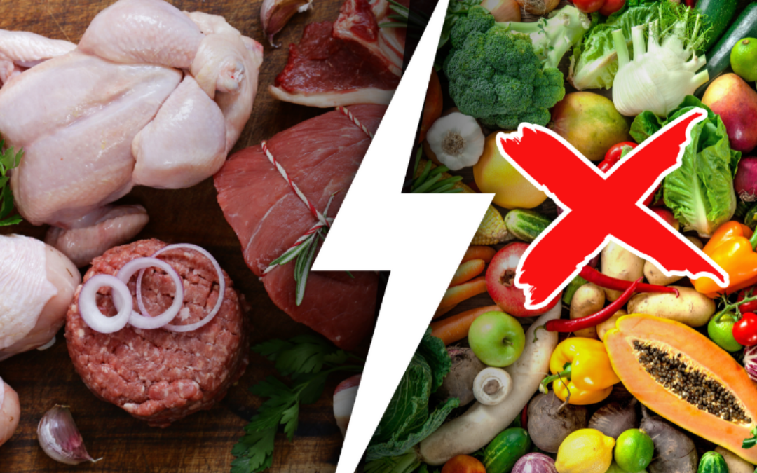 Wat maakt het carnivoren dieet zo omstreden