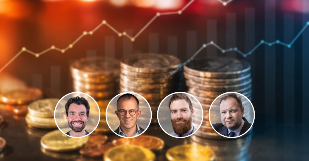 Webpanel Geld 1