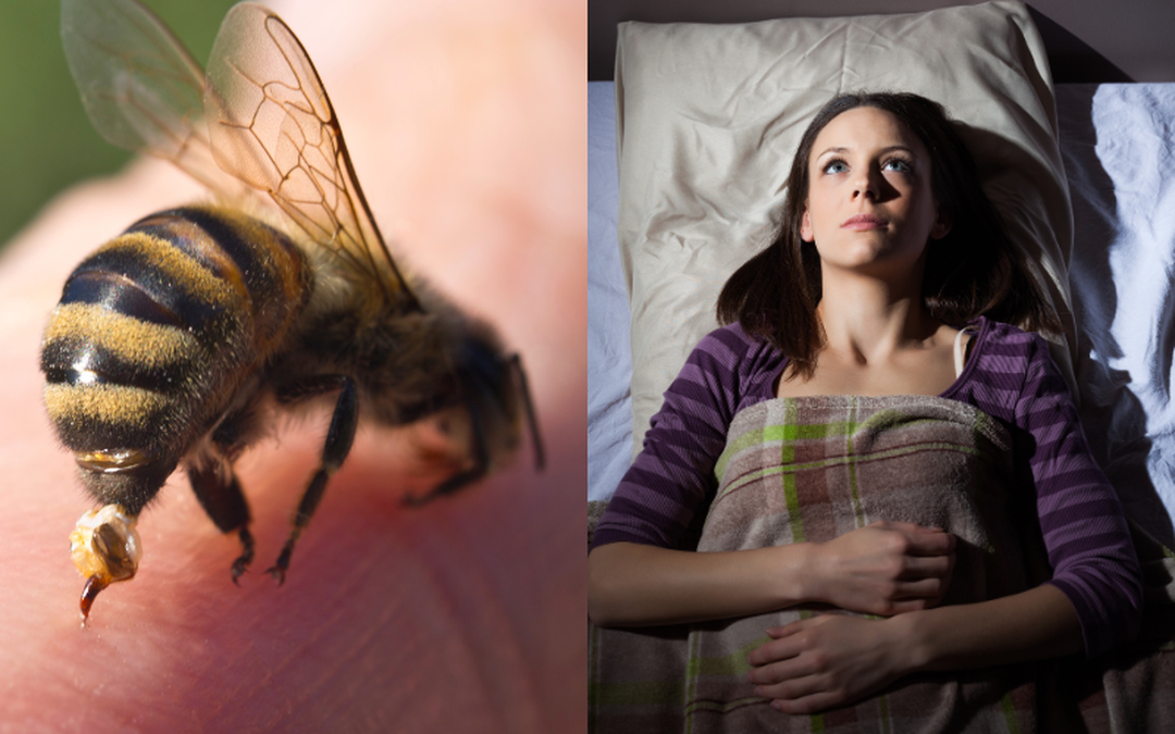 Artikel homeopathie