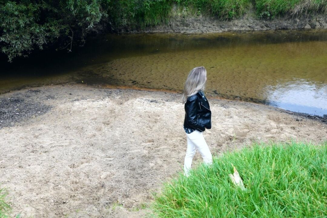 Image4