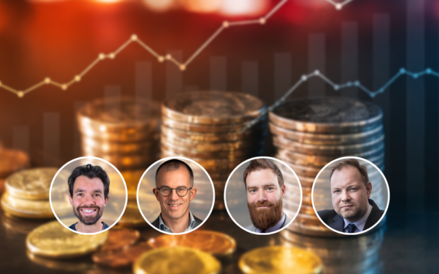 Webpanel Geld 1
