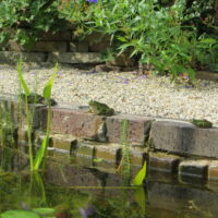 Slider nav image