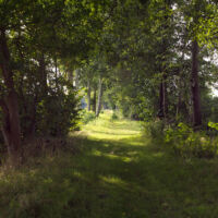 Slider nav image