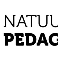 Slider nav image