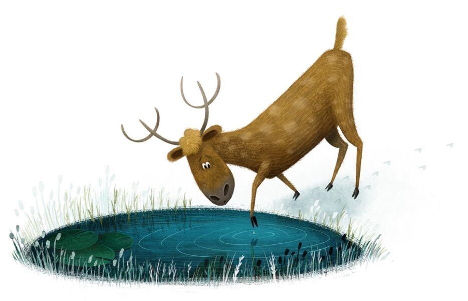 Slider image
