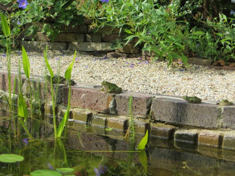 Slider image